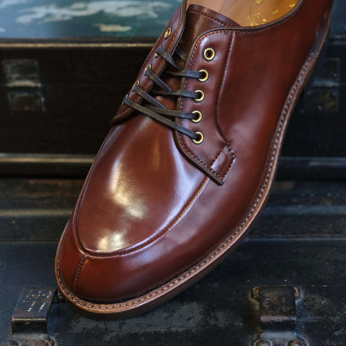 WHEEL ROBE Shell Cordovan Algonquin Derby