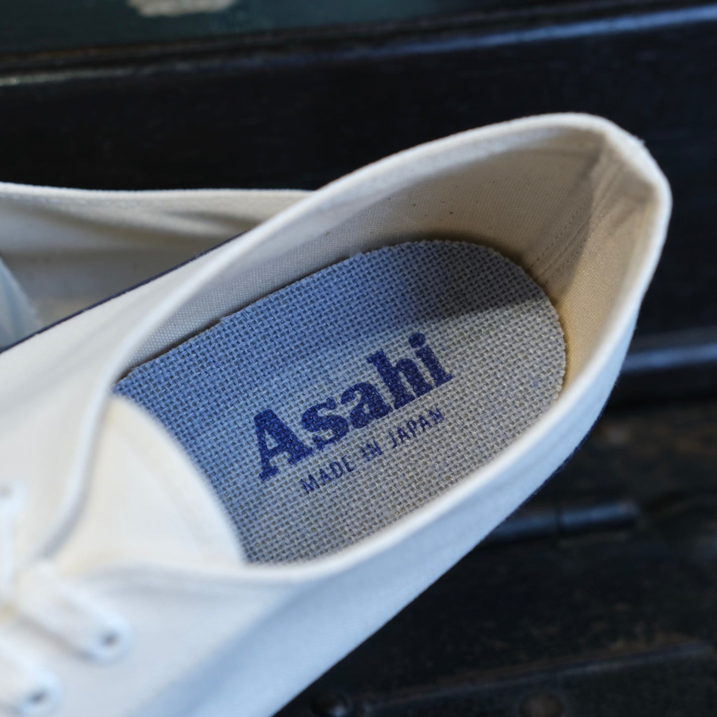 Asahi Deck Shoes (014)