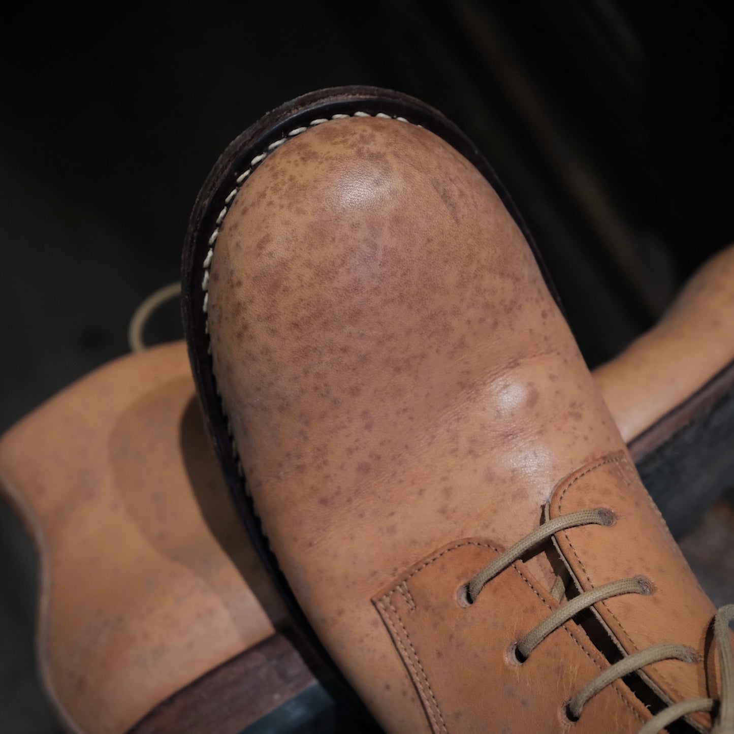 Shoe Recoloring & Refinishing